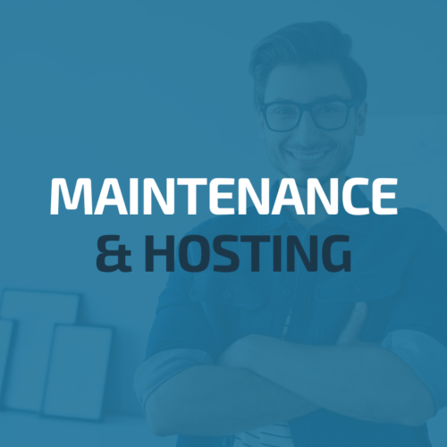 Standard Maintenance & Hosting Package